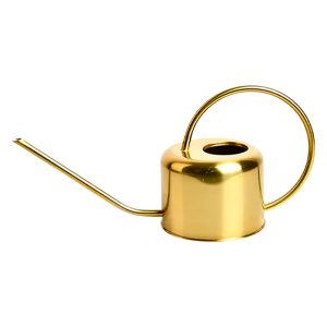 WO 19 Golden Watering Can