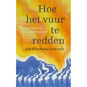 Hoe het vuur te redden - Désanne van Brederode